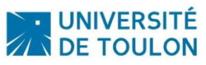 Expertise de Votes électroniques - Université de Toulon